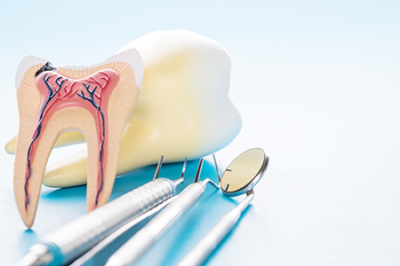 Royal Family Dental